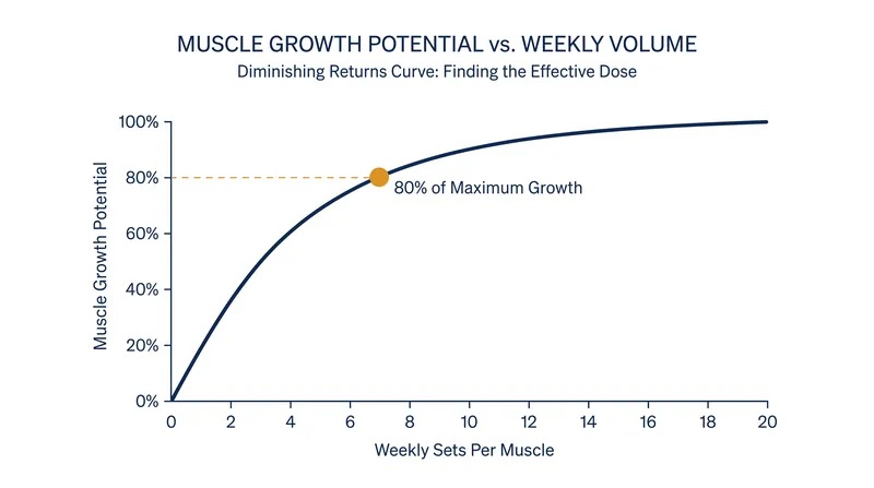 The hypertrophy dose-response curve demonstrates steep early gains that plateau after eight weekly sets.