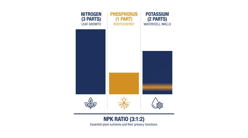 The 3:1:2 ratio mirrors the exact proportion of macronutrients that most foliage plants extract from their soil.