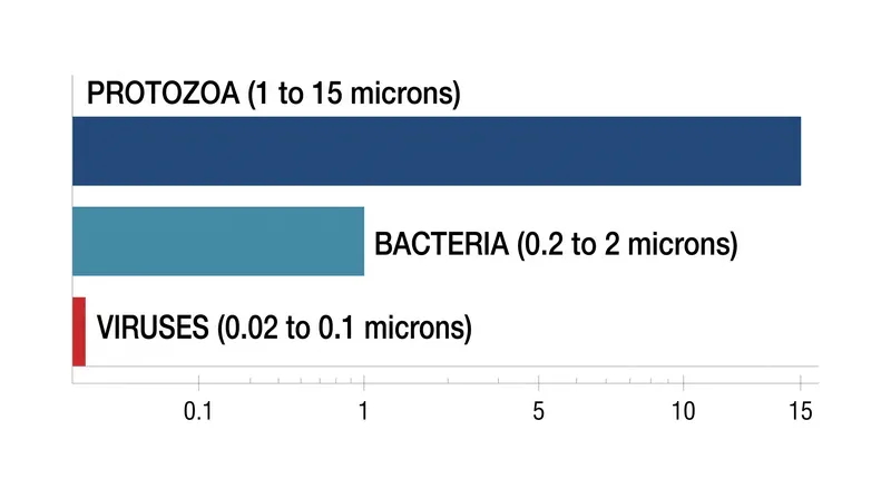 The microscopic size of viruses (0.02 to 0.1 microns) is the binding constraint that separates a true purifier from a standard water filter.