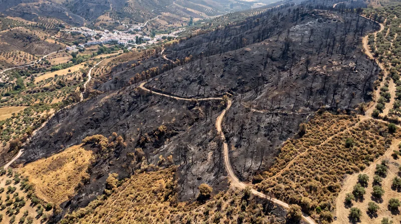 Wildfires have consumed nearly 296,000 hectares in Spain as extreme heat created ideal burning conditions.