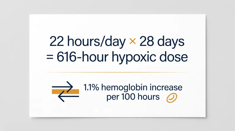 The 616-hour threshold is the mathematical target for optimal altitude acclimatization.