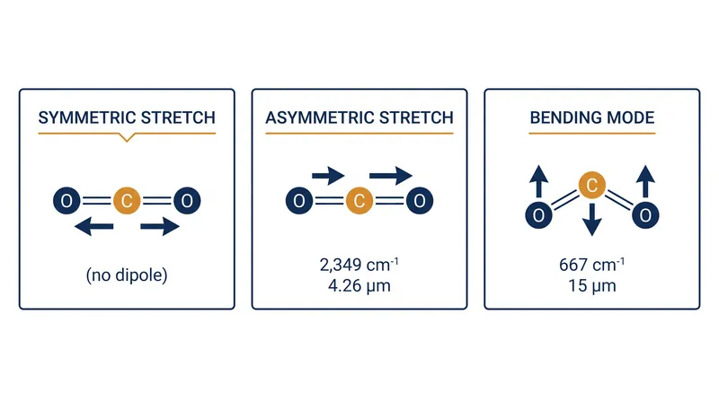 The asymmetric stretch and bending modes of carbon dioxide dictate which specific wavelengths of infrared light the molecule can absorb.