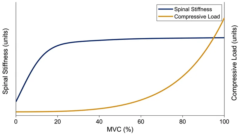 Bracing beyond 20% MVC yields diminishing returns for spinal stiffness while exponentially increasing compressive loads on the vertebrae.
