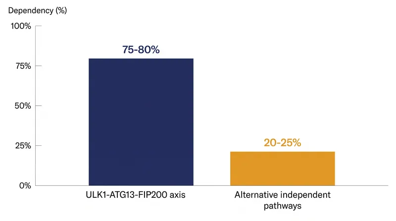 While backup mechanisms exist, the vast majority of starvation-induced autophagy relies on the complete ULK1 triad.