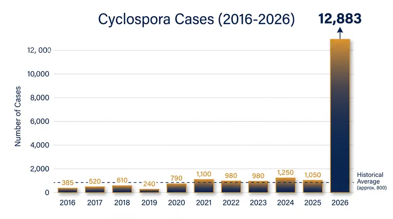 The 2026 outbreak reached 12,883 confirmed cases, dwarfing previous domestic cyclospora events.