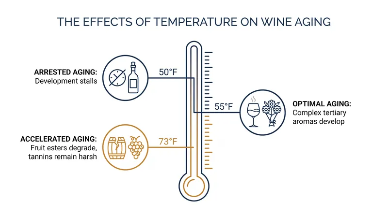 How temperature dictates the speed and quality of the chemical reactions within the bottle.