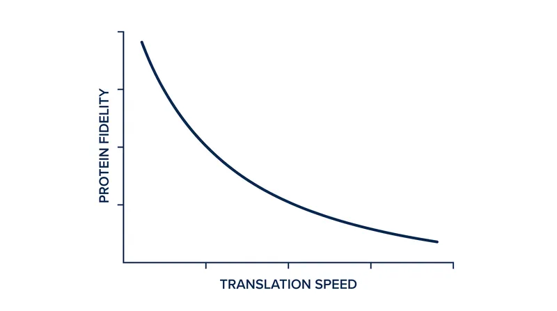 Pushing the ribosome to its absolute maximum speed collapses the fidelity of the entire system.