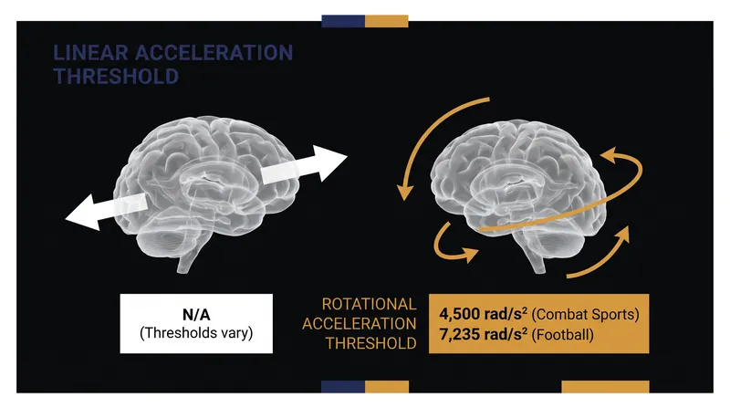 While linear force compresses the brain, rotational force causes shear deformation that tears neural pathways.