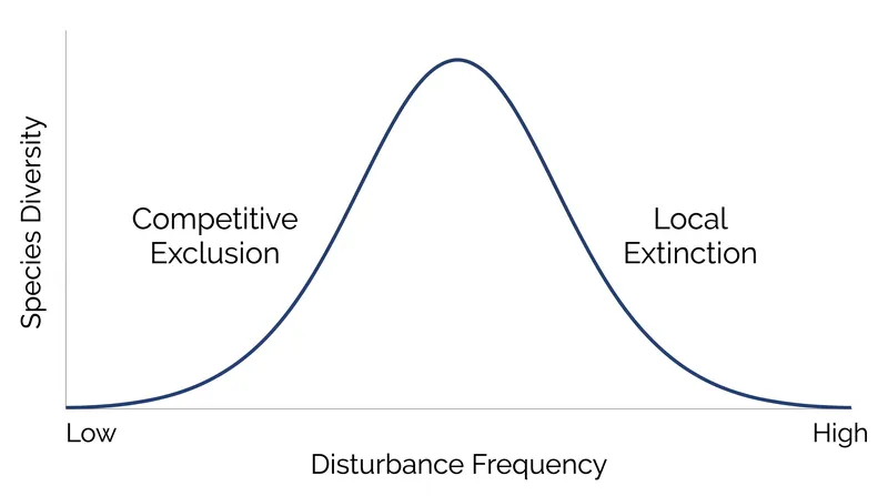 The intermediate disturbance hypothesis predicts that biodiversity peaks when disruptions are neither too rare nor too frequent.