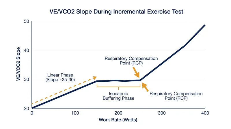 The VE/VCO2 slope remains stable during isocapnic buffering before rising sharply at the Respiratory Compensation Point.