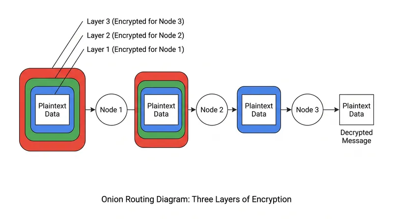 Each relay in the circuit only possesses the cryptographic key to remove a single layer of encryption.
