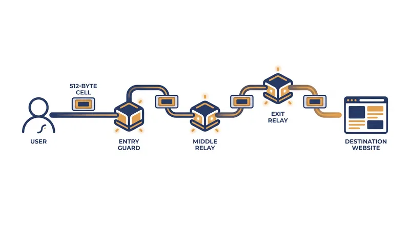 Traffic routes through three distinct relays, ensuring no single node knows both the sender and the destination.