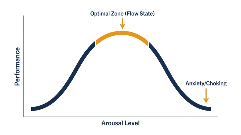 The Yerkes-Dodson law maps the precise relationship between physiological arousal and cognitive performance.