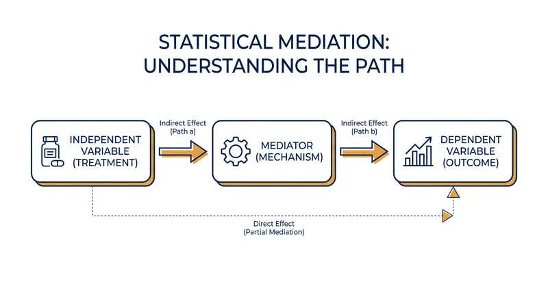 Mediation explains the internal mechanism—how an input translates into an output.