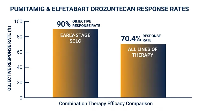 The experimental combination achieved a 90% response rate in early-stage patients and a 70.4% rate across all lines of therapy.