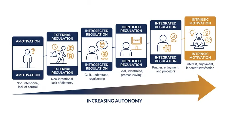 The six stages of motivation regulation, moving from entirely external to purely internal.