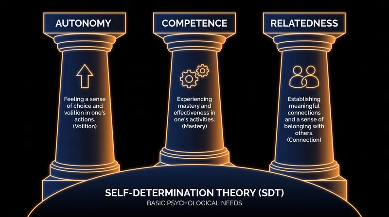 The three psychological needs that must be met to internalize motivation.
