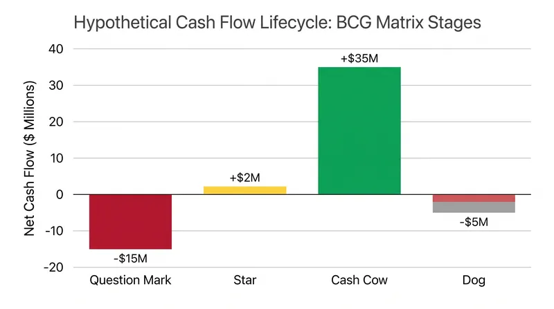 The theoretical lifecycle of a business unit's cash generation and consumption.