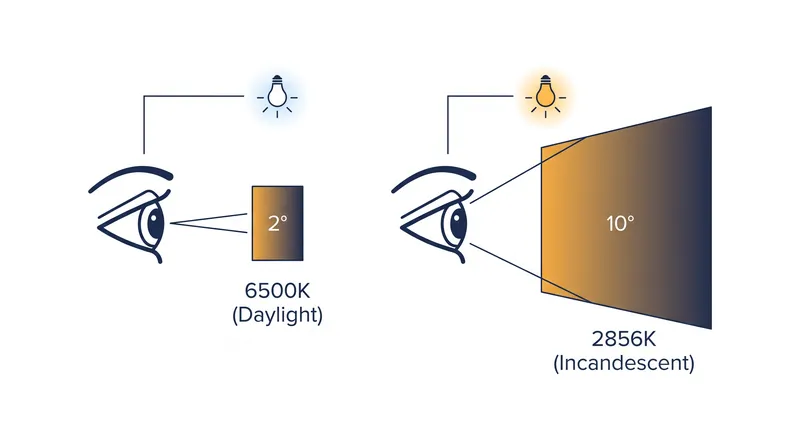 The 10-degree shift occurs when a color expands from the fovea to the peripheral retina.