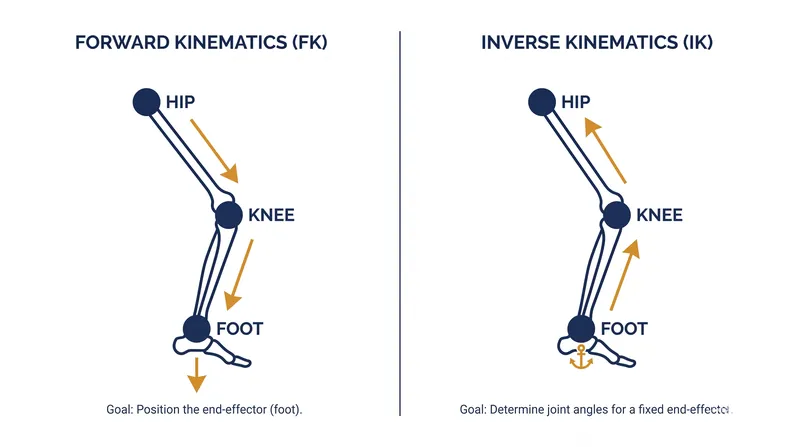 Forward kinematics calculates down the chain, while inverse kinematics calculates backward from the end effector.