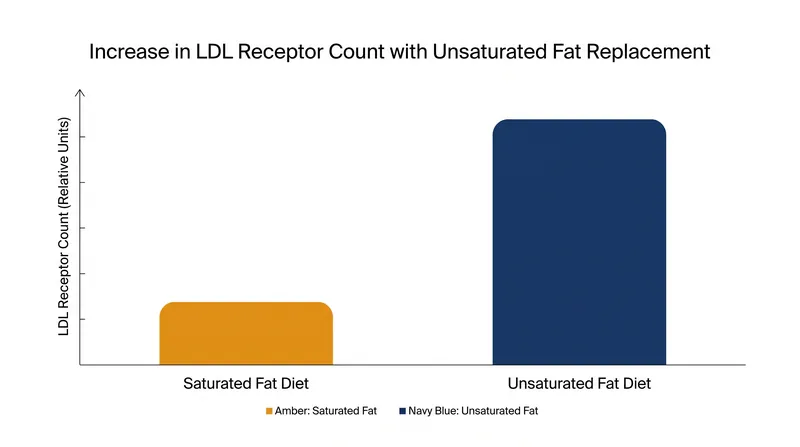 Replacing saturated fat with unsaturated fat directly increases the number of active LDL receptors on cell surfaces.