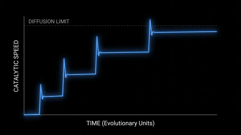 Enzymes experience rapid bursts of evolutionary optimization before plateauing at the physical limits of diffusion.
