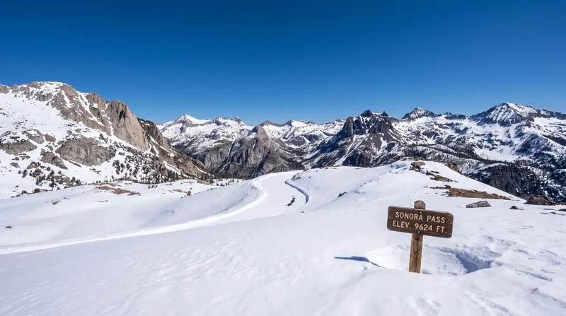 The remaining fox population relies heavily on the deep snowpacks and rugged terrain of the Sonora Pass region.