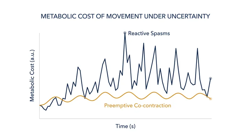 While metabolically expensive in a vacuum, co-contraction minimizes total muscular effort when navigating unpredictable environments.