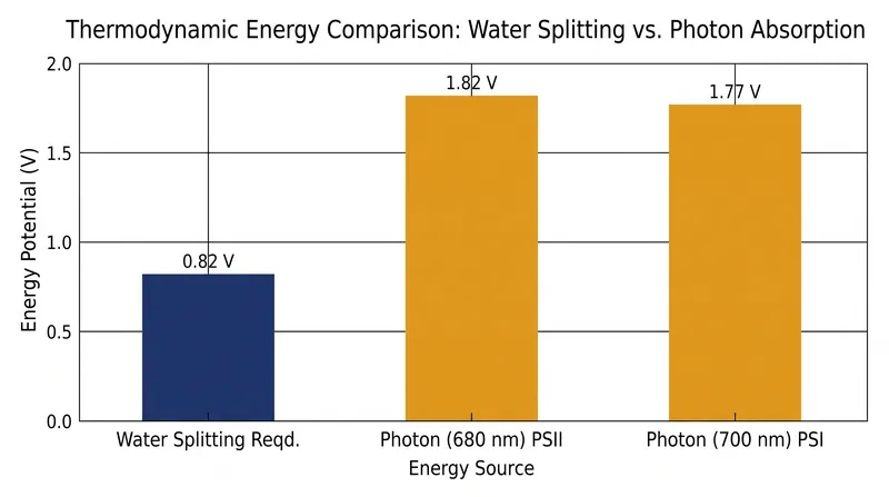 No single photon of visible light carries enough energy to both split water and reduce carbon, necessitating a two-system approach.