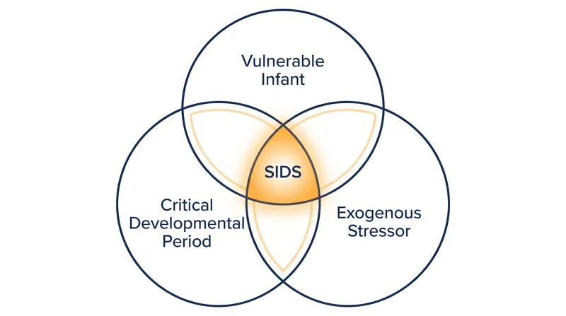 The Triple-Risk Model demonstrates that SIDS occurs only when three specific factors intersect.