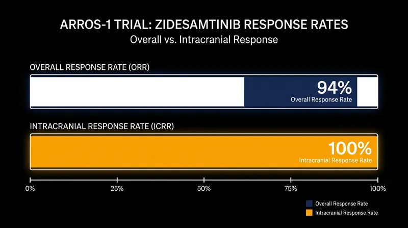 Zidesamtinib showed near-universal efficacy in shrinking tumors, including those that had spread to the brain.
