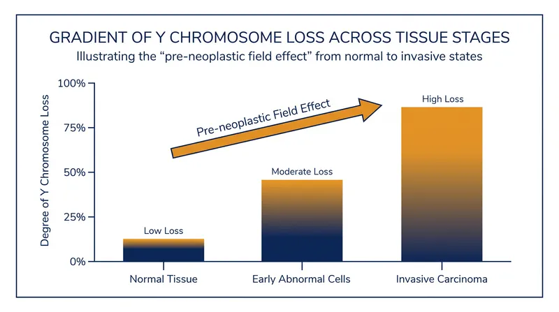 The degree of Y chromosome loss increases progressively from normal tissue to full-blown carcinoma.