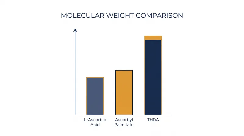 Molecular size influences how easily each derivative crosses the stratum corneum.