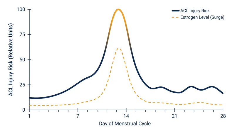 Estrogen surges during the ovulatory phase increase ligament laxity, creating a window of heightened vulnerability.