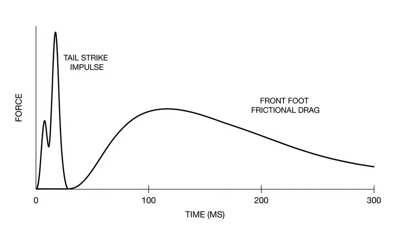 Biomechanical models show that the front foot must engage the grip tape precisely as the board rebounds from the pavement.