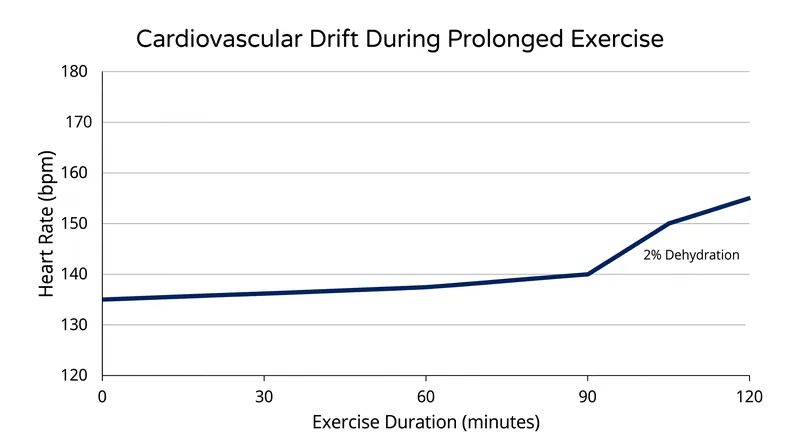 As blood plasma volume drops, the heart must beat faster to maintain the same aerobic power output.