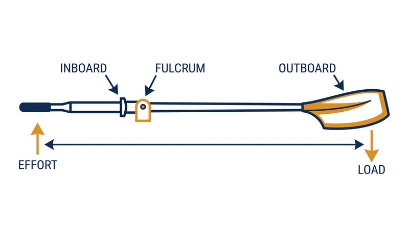 The oar acts as a Class 1 lever, with the oarlock serving as the fulcrum.