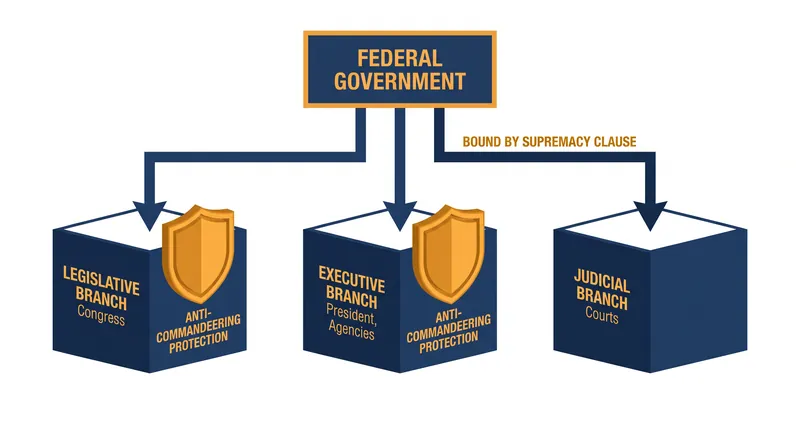 The anti-commandeering doctrine protects state lawmakers and executives, but the Supremacy Clause explicitly binds state judges to federal law.