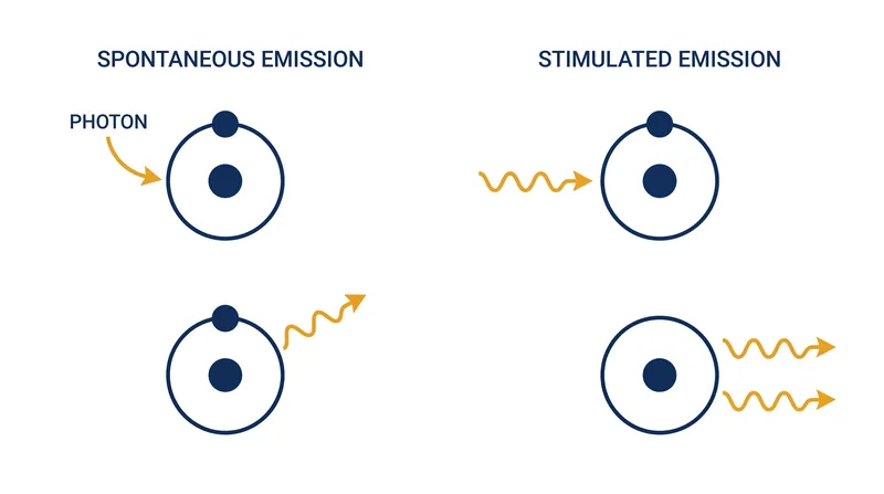 Stimulated emission forces an excited atom to release a photon identical to the one that struck it.