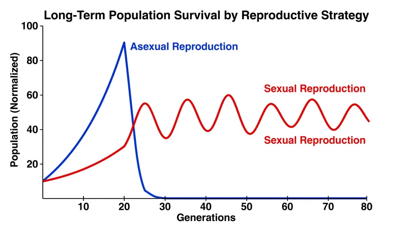 While asexual lineages gain an early numerical advantage, they are highly vulnerable to sudden extinction events driven by pathogens.