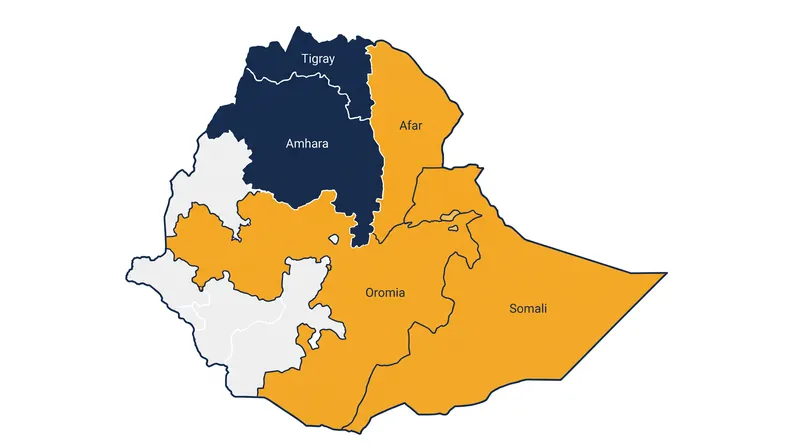 The newly formed alliance unites armed factions operating across half of Ethiopia's 12 regional states.
