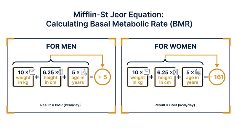 The Mifflin-St Jeor equation uses four variables to estimate basal metabolic rate.