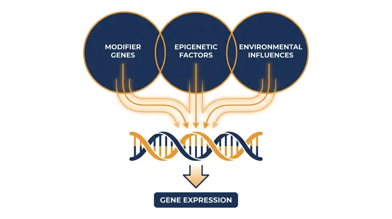 A person's unique genetic background, epigenetics, and environment all interact to determine how a gene is ultimately expressed.