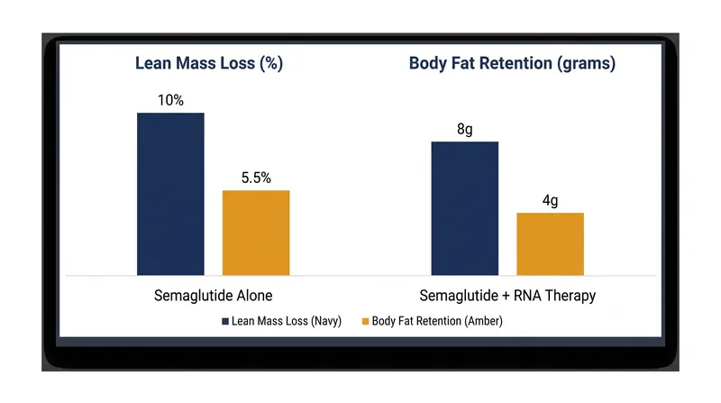 Mice receiving the combination therapy lost half as much lean mass and twice as much body fat as those receiving semaglutide alone.