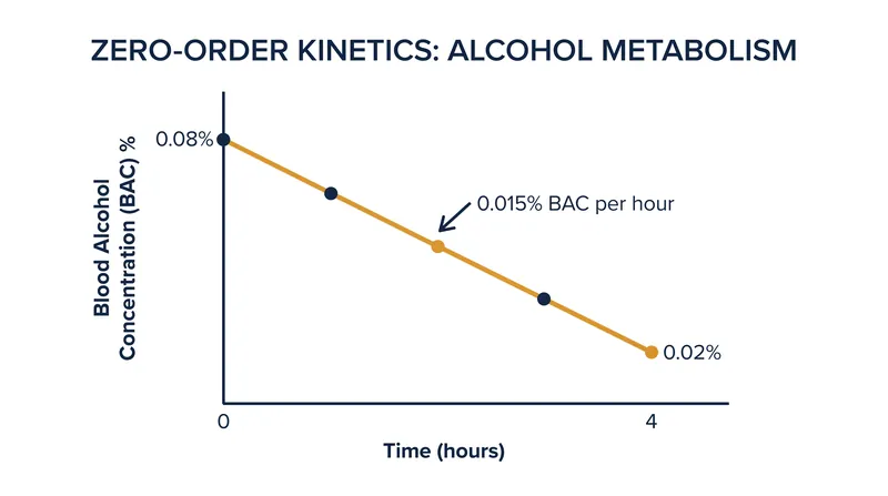 Unlike most drugs, alcohol is eliminated at a constant rate regardless of how much is in the bloodstream.