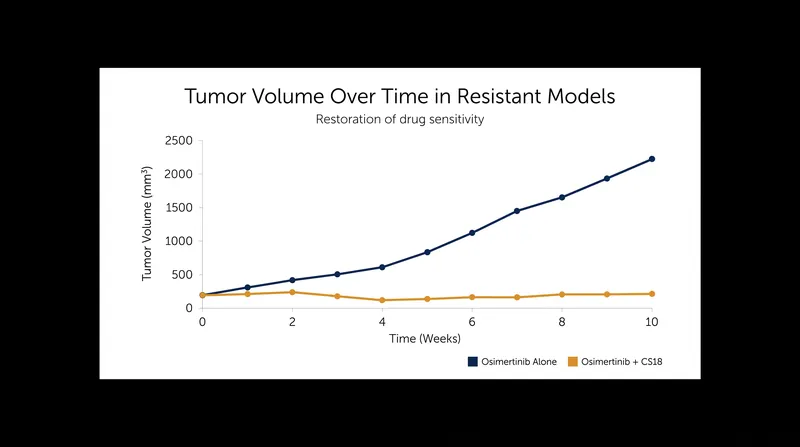 In animal models, adding CS18 restored the effectiveness of the targeted therapy osimertinib against lung cancer cells that had previously become resistant.