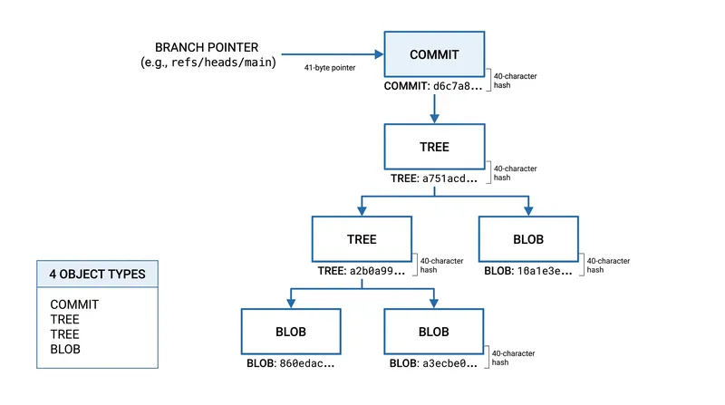 Commits point to trees, which in turn point to blobs, forming the immutable snapshots that make up a repository's history.