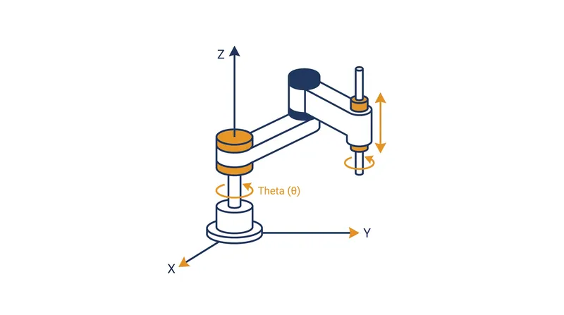A standard SCARA operates with four degrees of freedom: X, Y, Z translation, and a single Z-axis rotation.