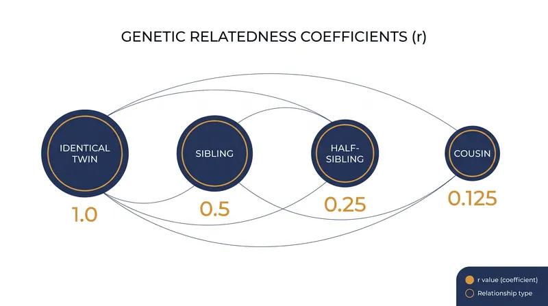 Hamilton's Rule relies on the coefficient of relatedness (r) to determine the genetic payoff of altruistic acts.