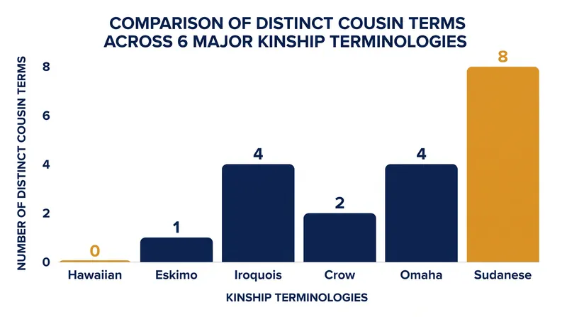 Distinct cousin terms vary drastically depending on the kinship system's need for descriptive precision.